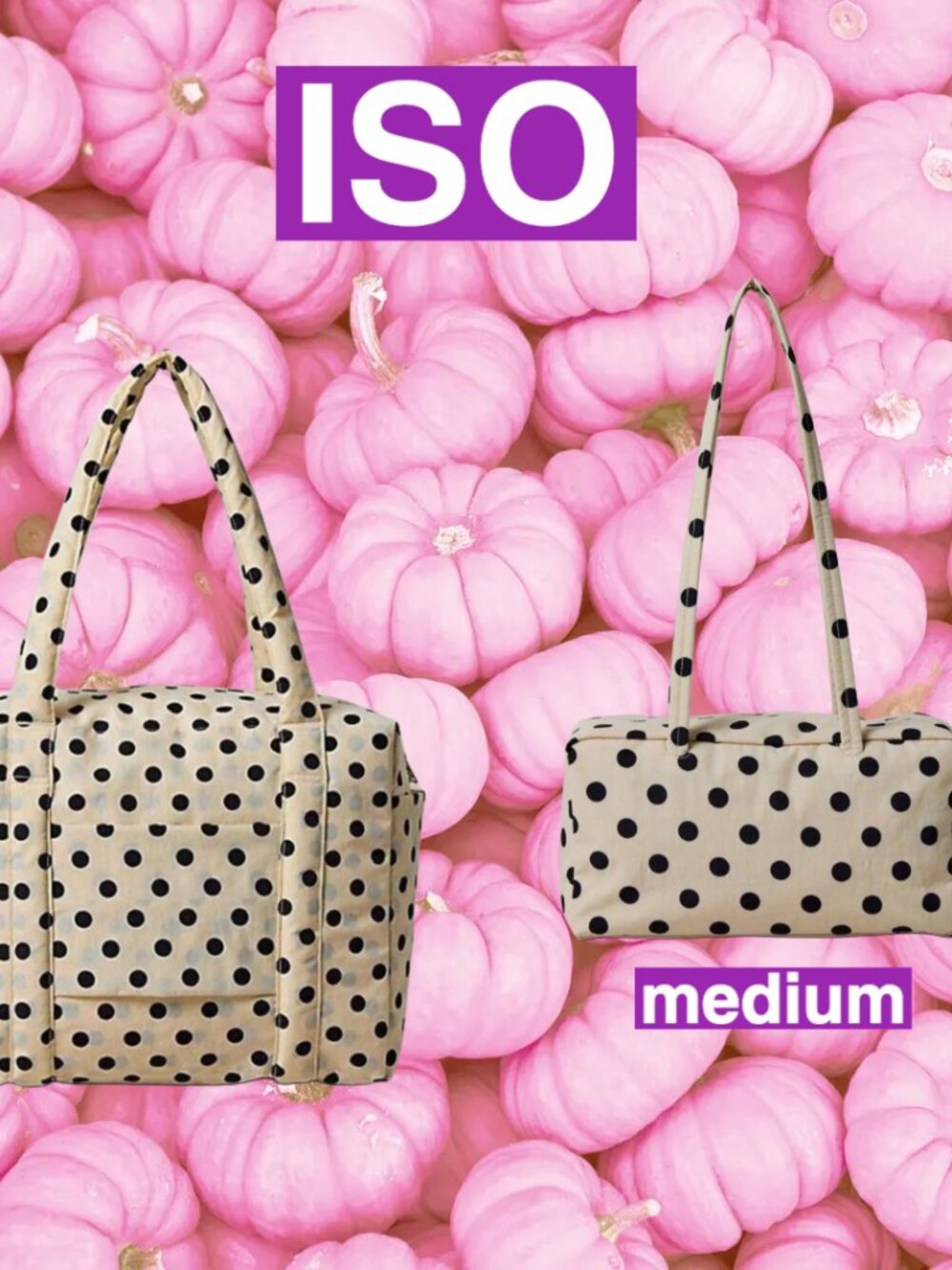 Baggu ISO